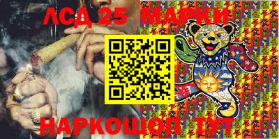 ПСИЛОЦИБИНОВЫЕ ГРИБЫ Новозыбков