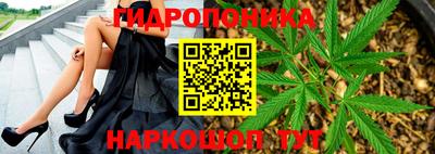 ПСИЛОЦИБИНОВЫЕ ГРИБЫ Новозыбков