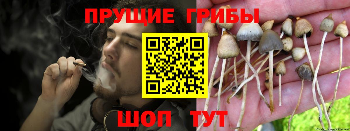Галлюциногенные грибы ЛСД  Галлюциногенные грибы прущие грибы  Саров  Вход с VPN 