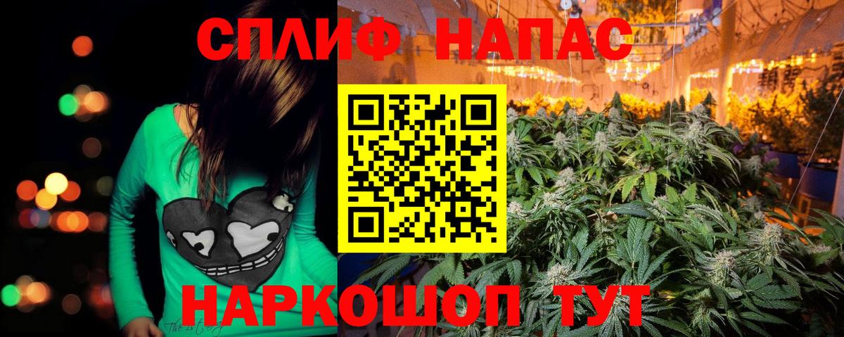 Конопля OG Kush Саров